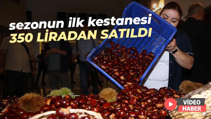 Sezonun Ilk Kestanesi 350 Liradan Satıldı