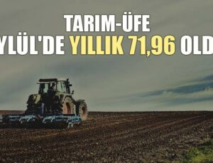 Tarım-Üfe Eylül’De Yıllık 71,96 Oldu