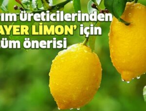 Tarım Üreticilerinden Mayer Limon Için Çözüm Önerisi