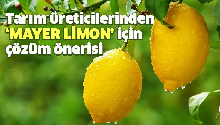 Tarım Üreticilerinden Mayer Limon Için Çözüm Önerisi