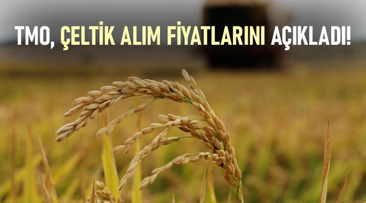 Tmo, Çeltik Alım Fiyatlarını Açıkladı