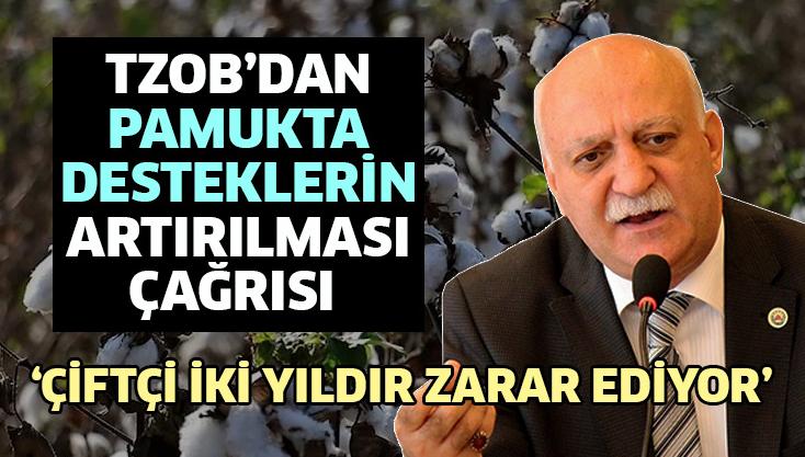 Tzob’dan Pamukta Desteklerin Artırılması Çağrısı