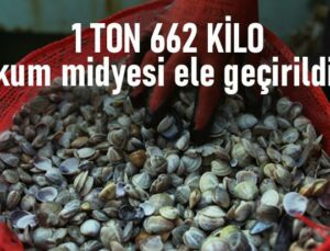 1 Ton 662 Kilo Kum Midyesi Ele Geçirildi