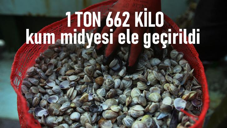 1 Ton 662 Kilo Kum Midyesi Ele Geçirildi