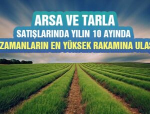 Arsa Ve Tarla Satışlarında Yılın 10 Ayında Tüm Zamanların En Yüksek Rakamına Ulaşıldı