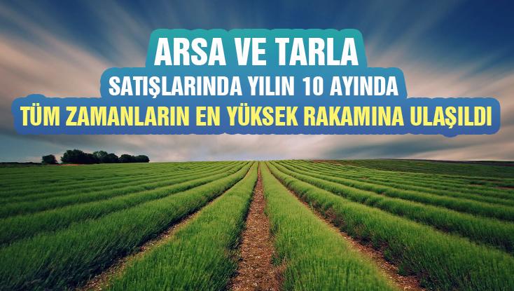 Arsa Ve Tarla Satışlarında Yılın 10 Ayında Tüm Zamanların En Yüksek Rakamına Ulaşıldı