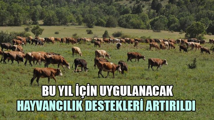 Bu Yıl Için Uygulanacak Hayvancılık Destekleri Artırıldı