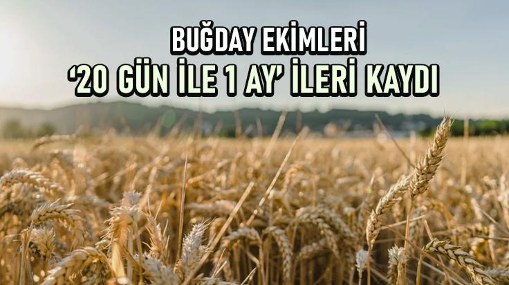 Buğday Ekimleri 20 Gün Ile 1 Ay Ileri Kaydı