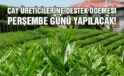 Çay üreticilerine destek ödemesi bugün yapılacak