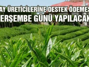 Çay Üreticilerine Destek Ödemesi Bugün Yapılacak