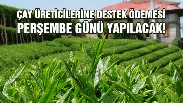 Çay Üreticilerine Destek Ödemesi Bugün Yapılacak