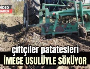 Çiftçiler Patatesleri Imece Usulüyle Söküyor