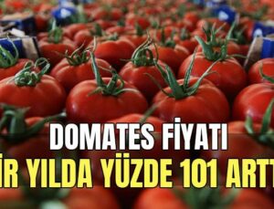 Domates Fiyatı Bir Yılda Yüzde 101 Arttı