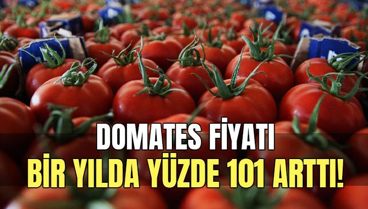 Domates Fiyatı Bir Yılda Yüzde 101 Arttı