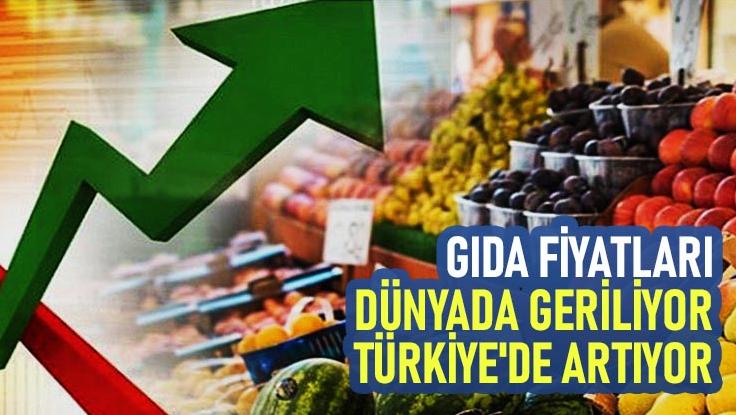 Gıda Fiyatları Dünyada Geriliyor, Türkiye’De Artıyor