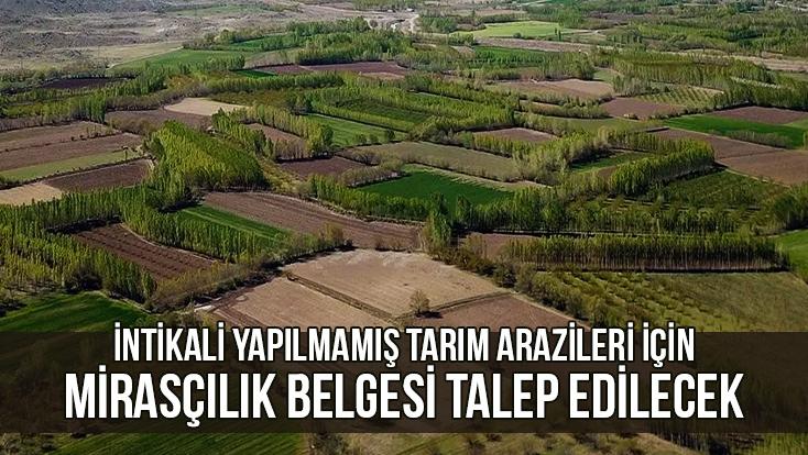 İntikali Yapılmamış Tarım Arazileri Için Mirasçılık Belgesi Talep Edilecek