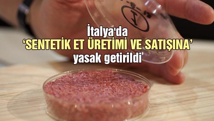 İtalya’Da Sentetik Et Üretimi Ve Satışına Yasak Getirildi