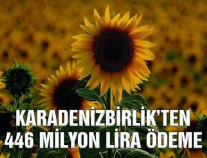 Karadeni̇zbi̇rli̇k Üreticilere 446 Milyon Lira Ödeme Yaptı