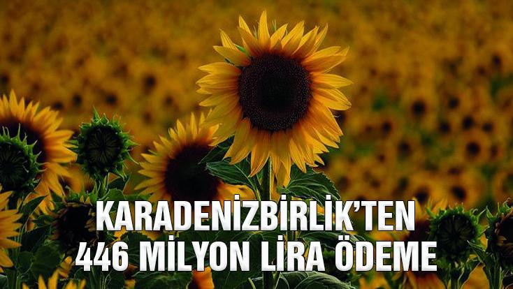 Karadeni̇zbi̇rli̇k Üreticilere 446 Milyon Lira Ödeme Yaptı