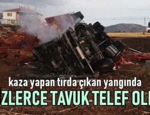 Kaza Yapan Tırda Çıkan Yangında Yüzlerce Tavuk Telef Oldu