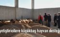 Kızıltepe’de yetiştiricilere küçükbaş hayvan desteği