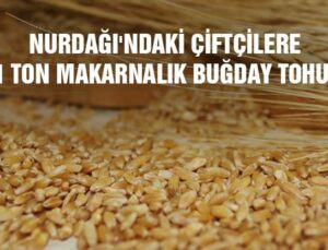 Nurdağı’Ndaki Çiftçilere 171 Ton Makarnalık Buğday Tohumu