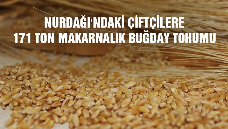 Nurdağı’Ndaki Çiftçilere 171 Ton Makarnalık Buğday Tohumu