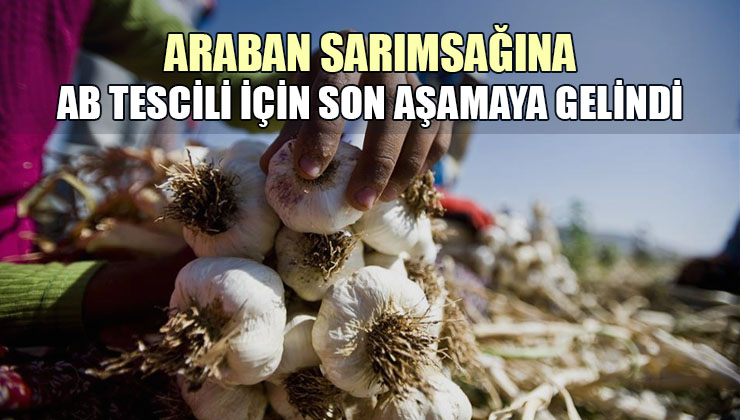 Araban Sarımsağına Ab Tescili Için Son Aşamaya Gelindi