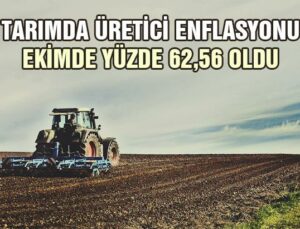 Tarımda Üretici Enflasyonu Ekimde Yüzde 62,56 Oldu