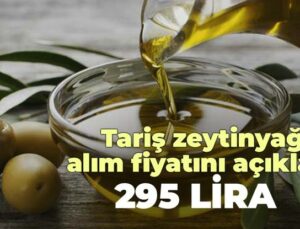 Tariş Zeytinyağı Alım Fiyatını Açıkladı: 295 Lira