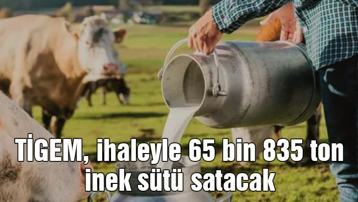 Ti̇gem, Ihaleyle 65 Bin 835 Ton Inek Sütü Satacak