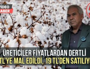 24 Tl’ye Mal Edildi, 19 Tl’Den Satılıyor! Pamuk Üreticileri Fiyatlardan Dertli