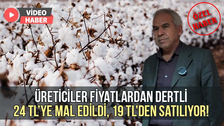 24 Tl’ye Mal Edildi, 19 Tl’Den Satılıyor! Pamuk Üreticileri Fiyatlardan Dertli