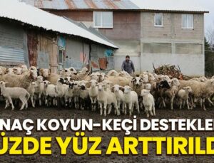 Anaç Koyun-Keçi Destek Ödemeleri Yüzde Yüz Arttırıldı