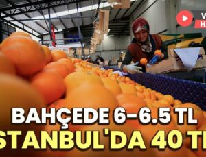 Bahçede 6-6.5 Tl İstanbul’Da 40 Tl!