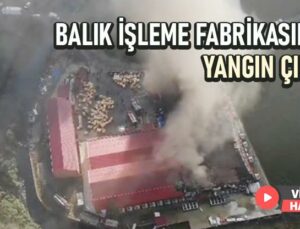 Giresun’Da Balık Işleme Fabrikasında Yangın Çıktı