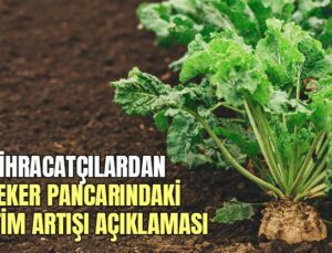 İhracatçılardan Şeker Pancarındaki Üretim Artışı Açıklaması