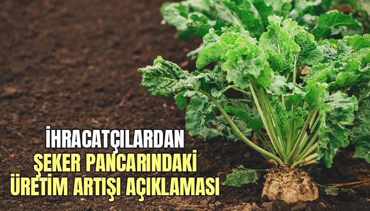 İhracatçılardan Şeker Pancarındaki Üretim Artışı Açıklaması