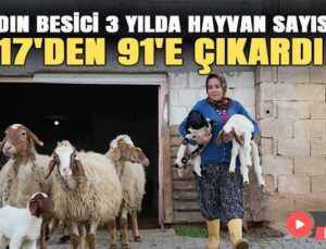 Kadın Besici 3 Yılda Hayvan Sayısını 17’Den 91’E Çıkardı