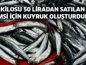 Kilosu 50 Liradan Satılan Hamsi Için Kuyruk Oluşturdular