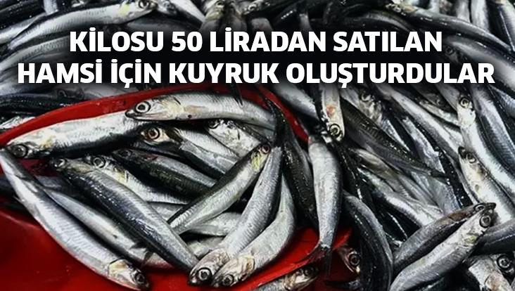 Kilosu 50 Liradan Satılan Hamsi Için Kuyruk Oluşturdular