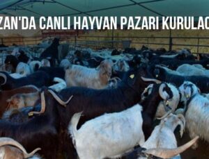 Kozan’Da Canlı Hayvan Pazarı Kurulacak