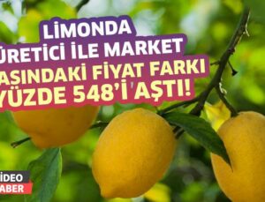 Limonda Üretici Ile Market Arasındaki Fiyat Farkı Yüzde 548’I Aştı
