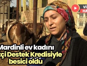 Mardinli Ev Kadını Çiftçi Destek Kredisi Ile Üretici Oldu