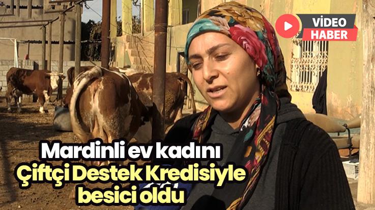 Mardinli Ev Kadını Çiftçi Destek Kredisi Ile Üretici Oldu