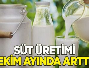 Süt Üretimi Ekim Ayında Arttı