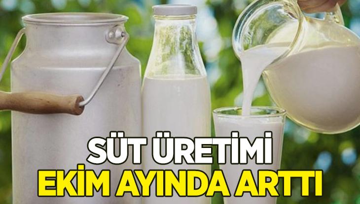 Süt Üretimi Ekim Ayında Arttı