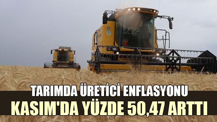 Tarımda Üretici Enflasyonu Kasım’Da Yüzde 50,47 Arttı