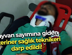 Hayvan Sayımına Giden Veteriner Sağlık Teknikeri Darp Edildi!