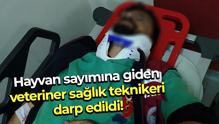 Hayvan Sayımına Giden Veteriner Sağlık Teknikeri Darp Edildi!